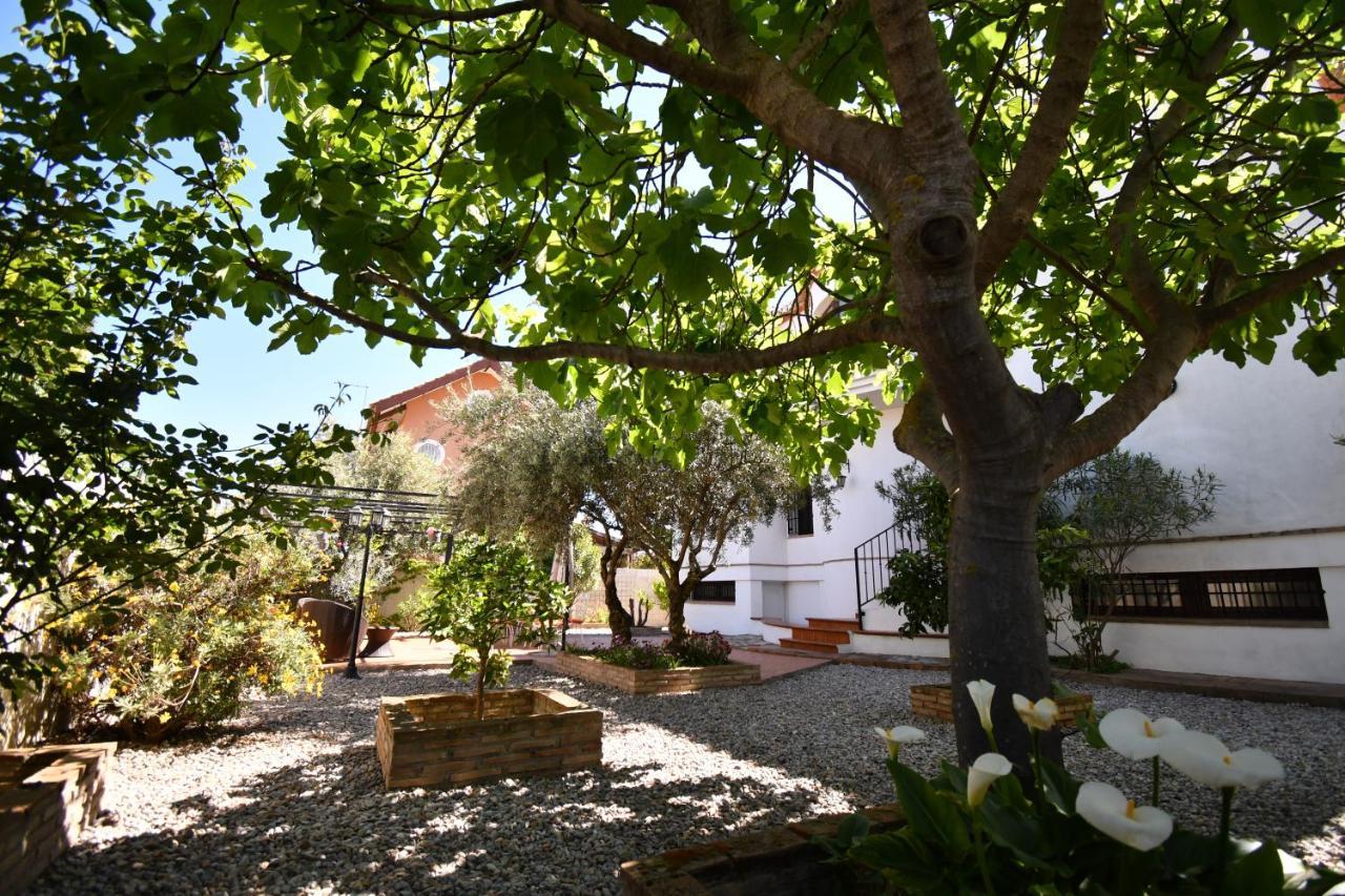 Villa Maria, Piscina Y Spa Exterior Privado Belicena Zewnętrze zdjęcie